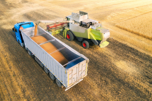 Transportation of flour and grain